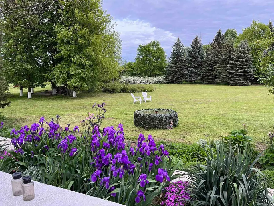 Four seasons in the garden